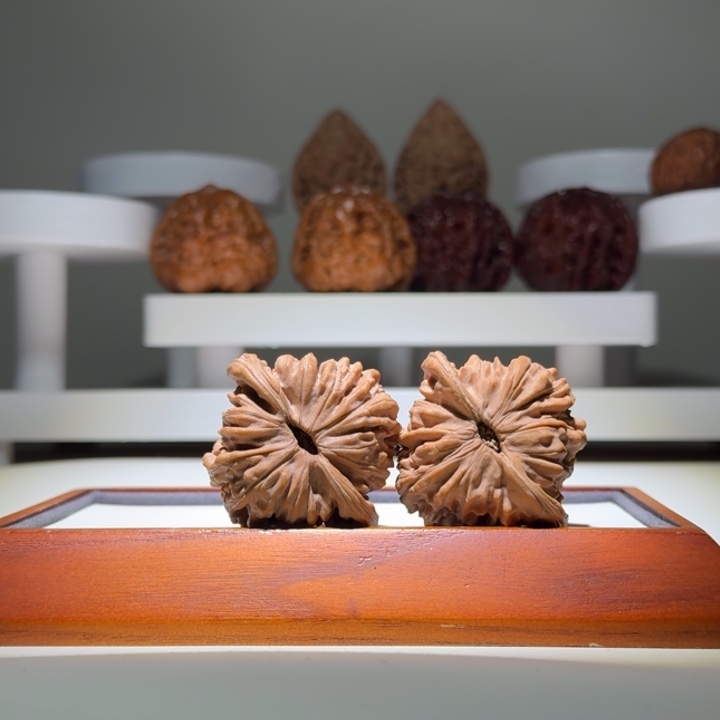 43四座楼饱满端肩膀