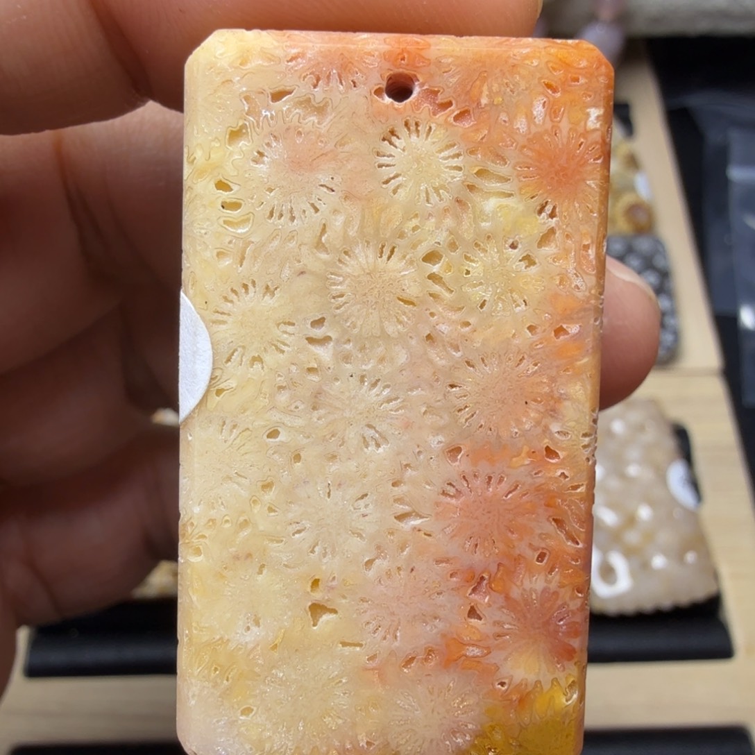 硅化玉未镶嵌天然有机玉石保真色骨骼花