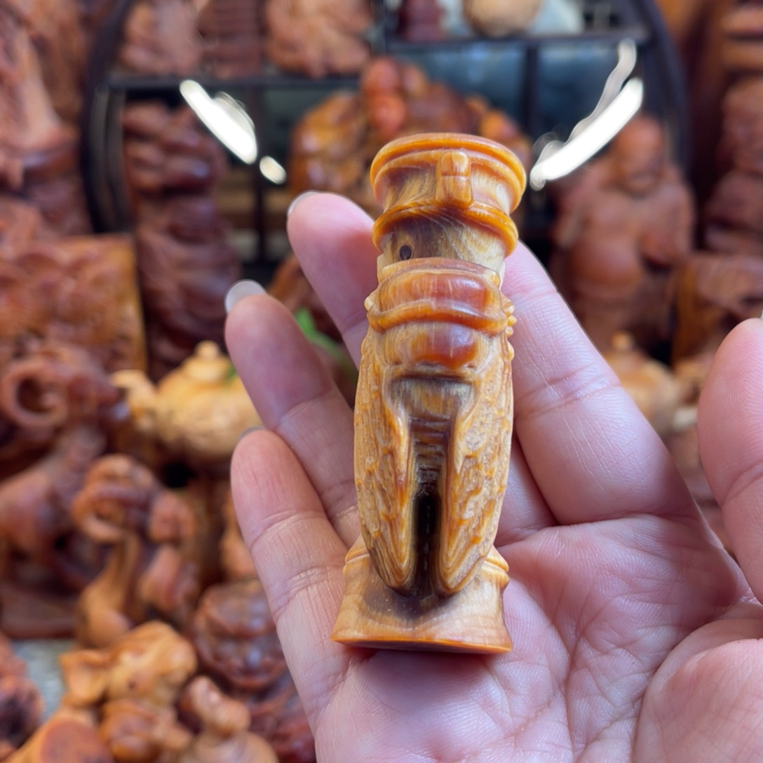 其他松木（琥珀木）一鸣惊人