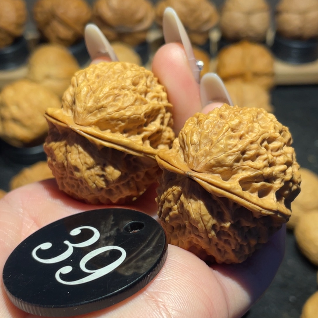 珊瑚绣球核桃38。       