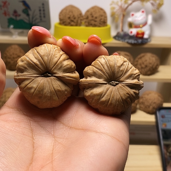 40尺寸的南瓜墩核桃