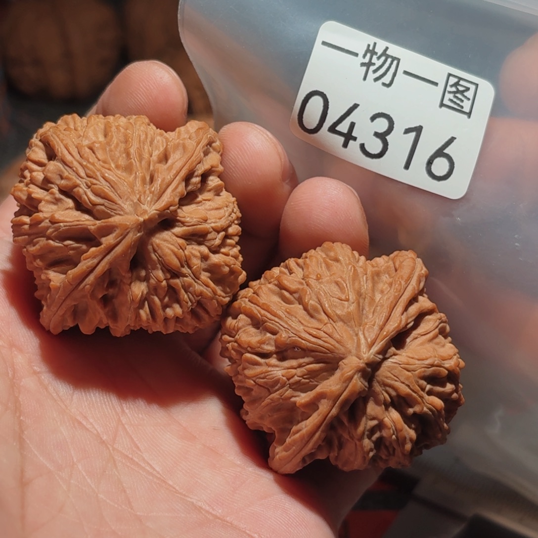 把件文玩核桃白狮子