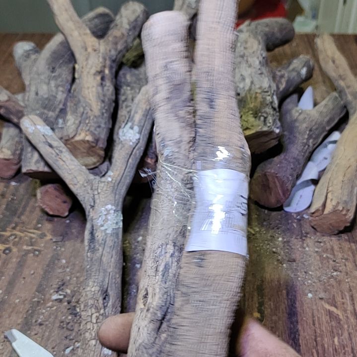 渡***虚火琉璃原杈不保沉水慎拍！