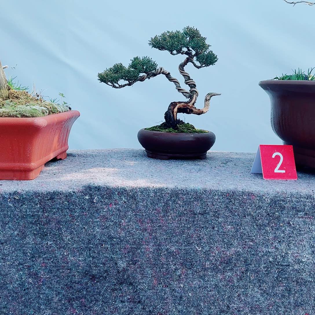 艺***园完全开放一物一拍济州