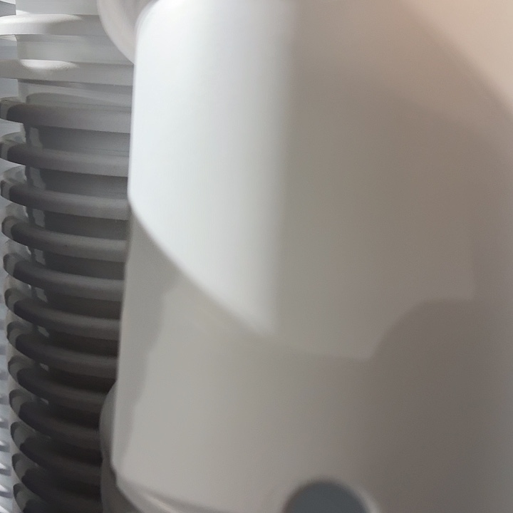 四季6号纯白无托7个特价微瑕