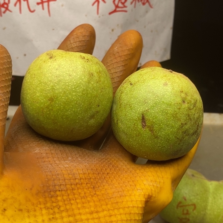 崔凯公子帽青皮不退不换，看好下单