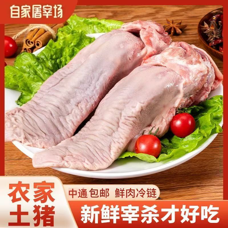 【买三斤送二斤】到手5斤新鲜猪舌头带舌根农家卤货食材猪舌头新鲜B