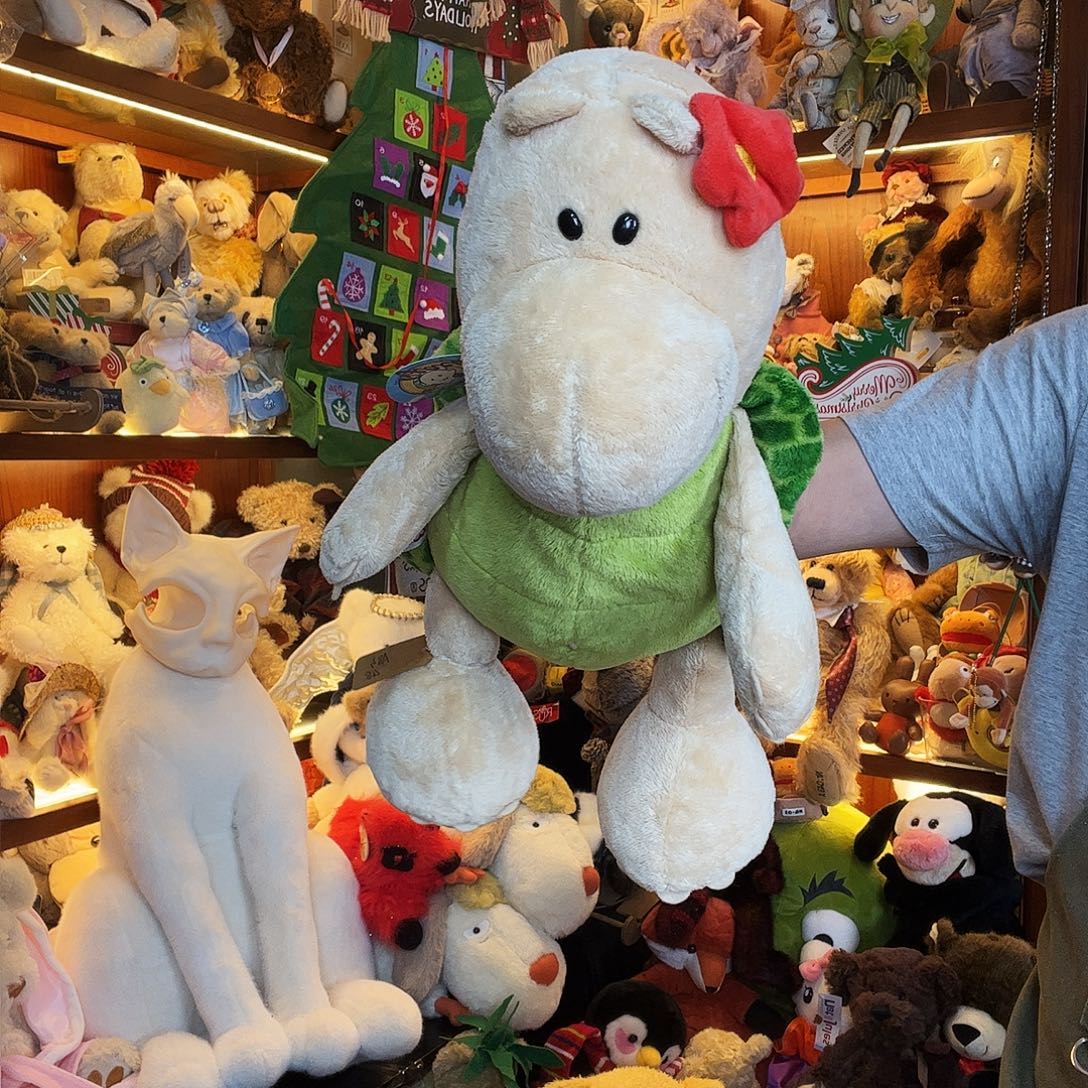 毛绒nici中号乌龟。       