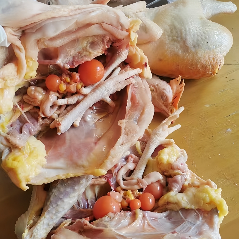 蟹塘散养走地鸡土鸡老母鸡约4斤