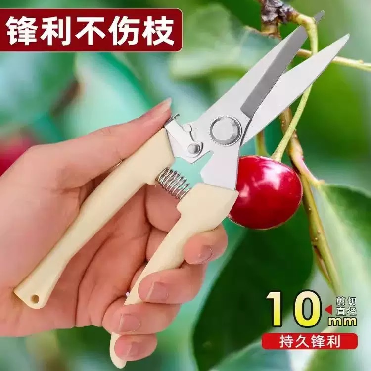 强力不锈钢省力园艺剪果树修枝摘果专用剪刀多功能持久