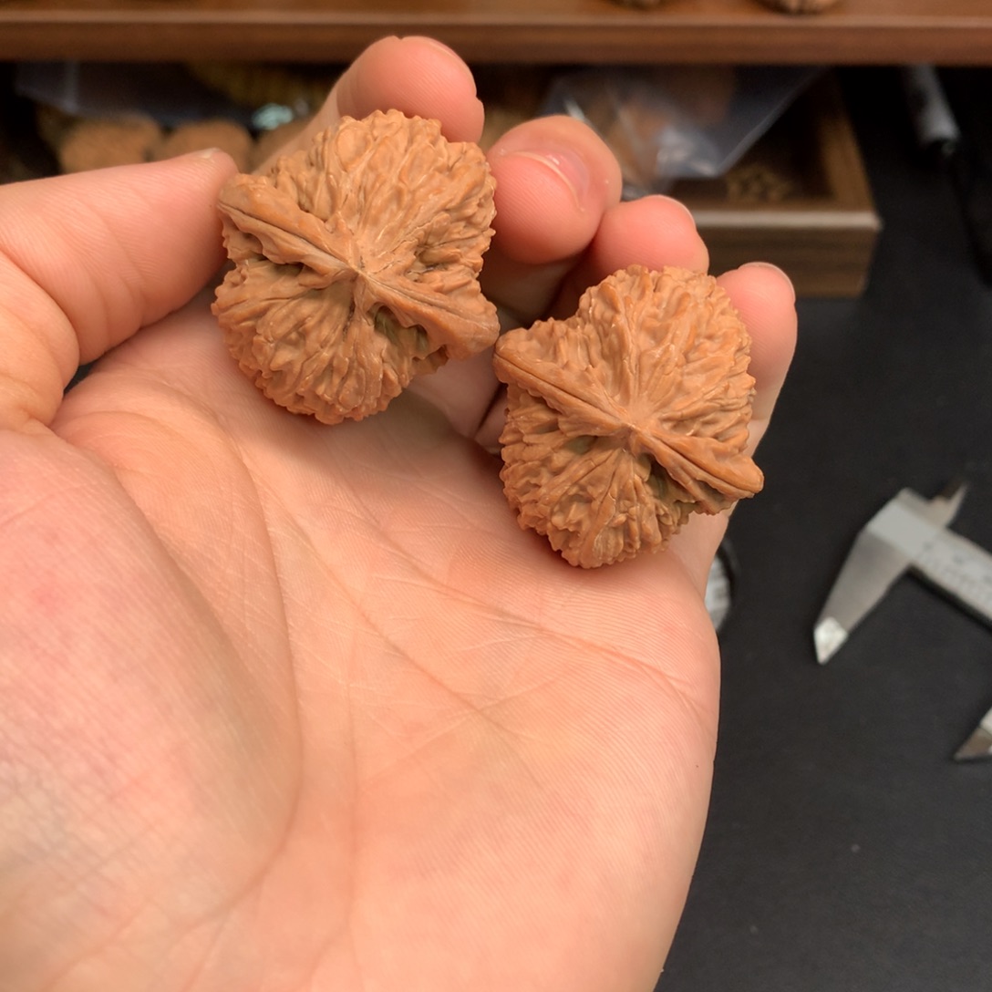 文玩核桃手串37白狮子