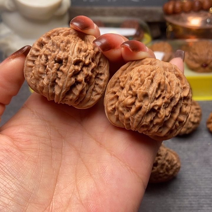 精品四座楼狮子头41