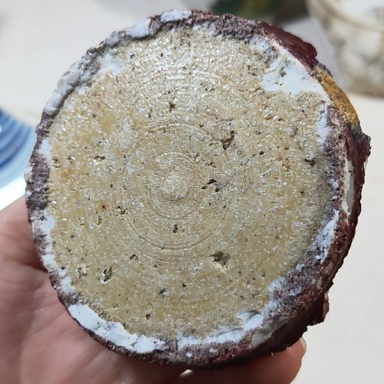 瓷片瓷片瓷片瓷片瓷片