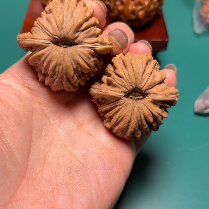 火****核桃42尺寸四座楼