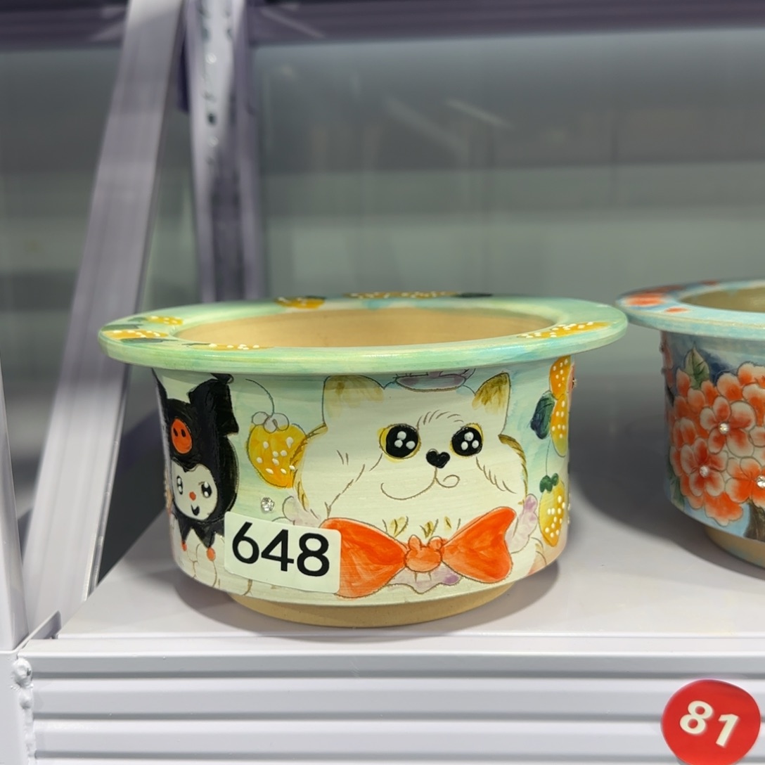 红陶内口13.5的帽沿花盆