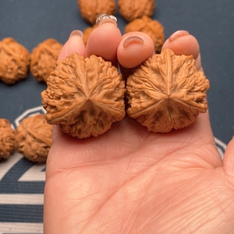 橄榄核手串/手链念*文山三棱