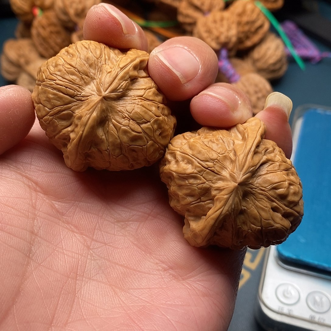 文玩核桃南瓜墩39全品