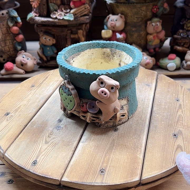 嘻哈多肉花盆百搭