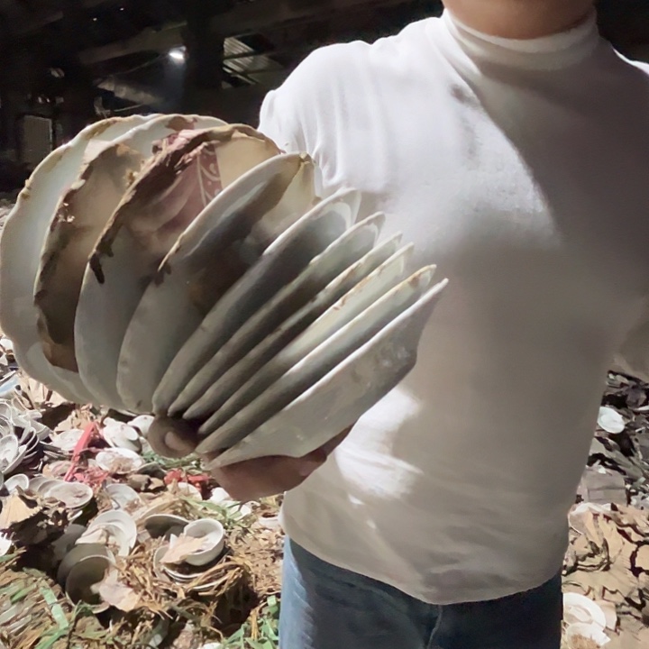 瓷片景德镇陶瓷6寸碟10只