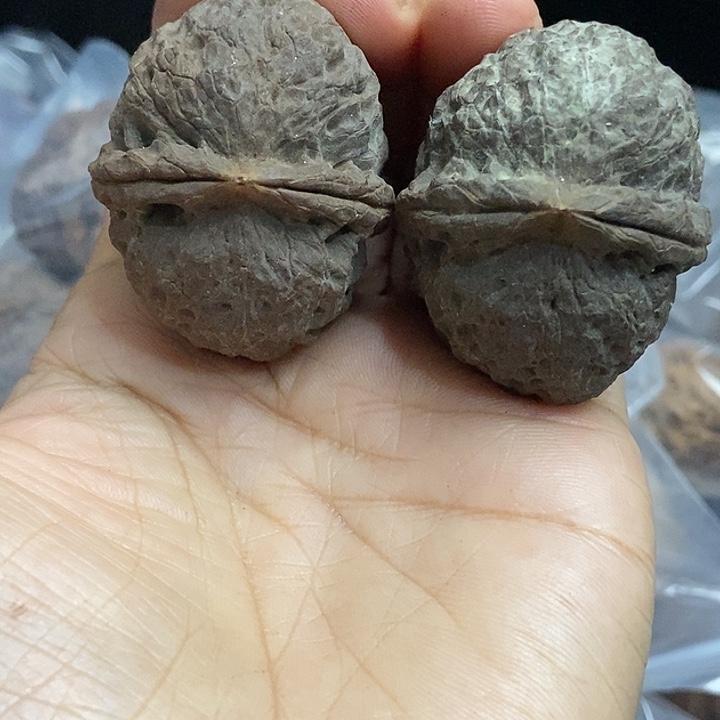 文玩核桃把件云南铁核桃基地48