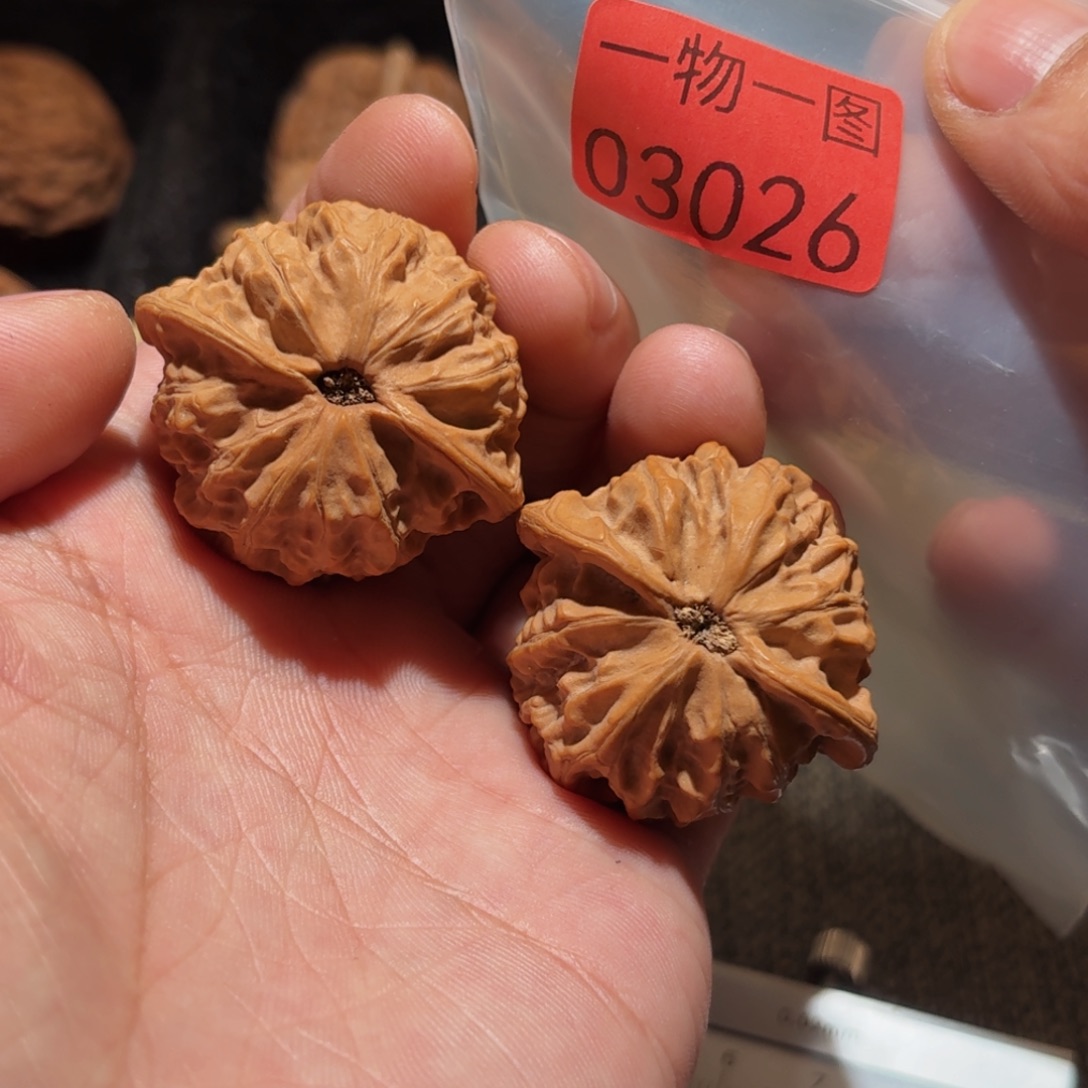 文玩核桃把件金牛