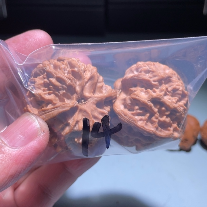 文玩核桃吊坠14呃呃呃