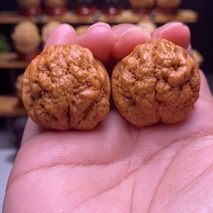 木质类云铁血舍利13号33尺
