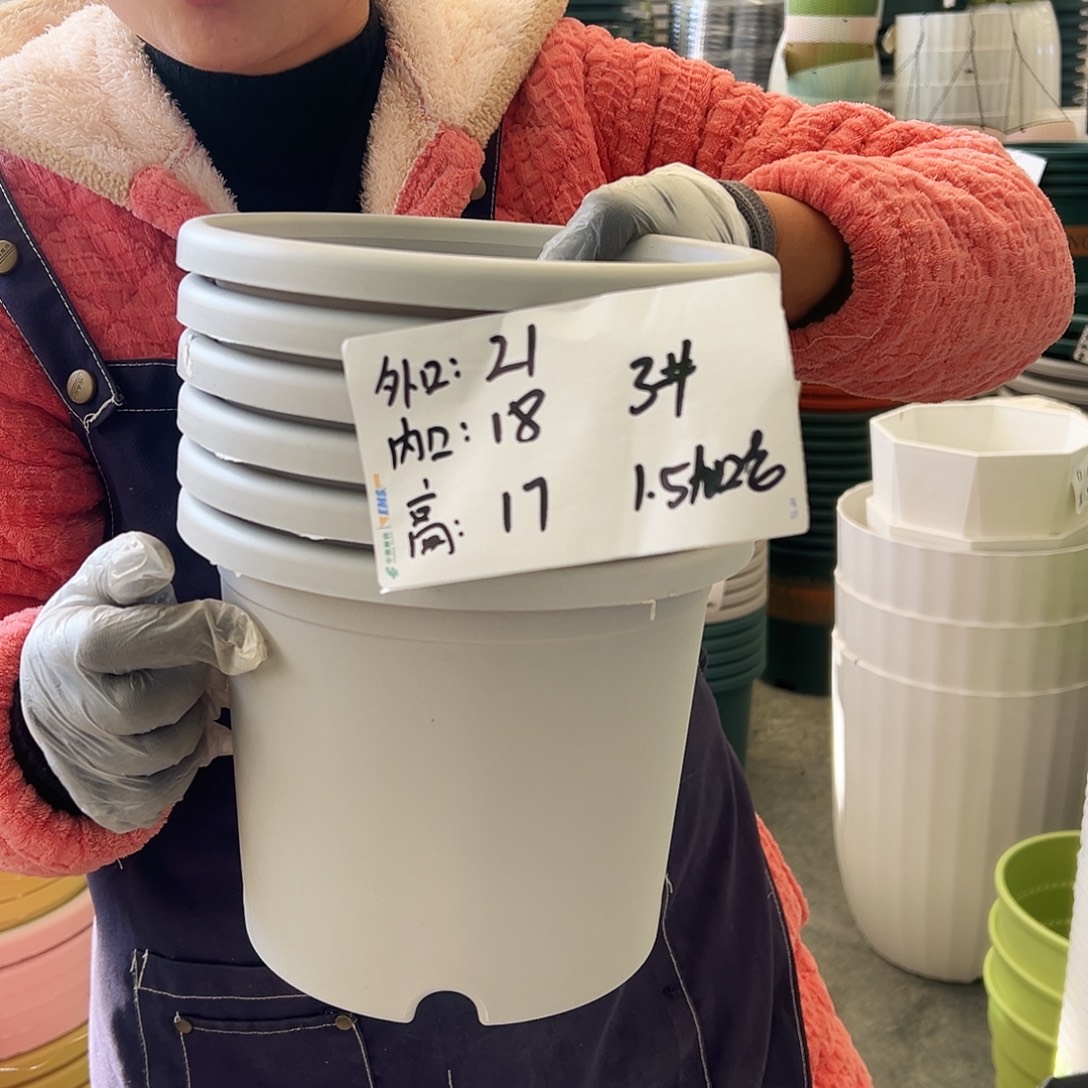 四季盆3#灰白色10个无托