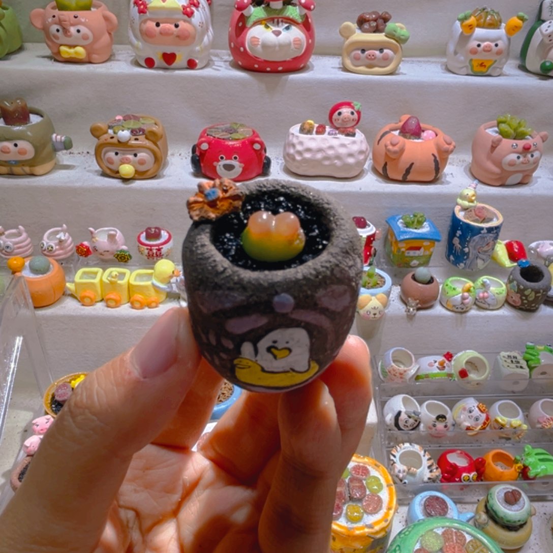 018拉登1.2厘米带盆土一套35.8