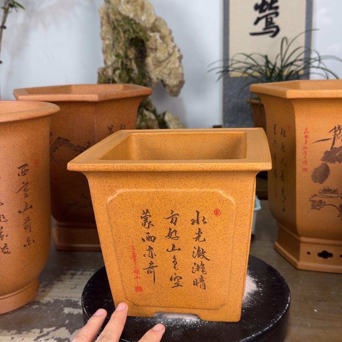 大***葱花盆紫砂紫砂花盆