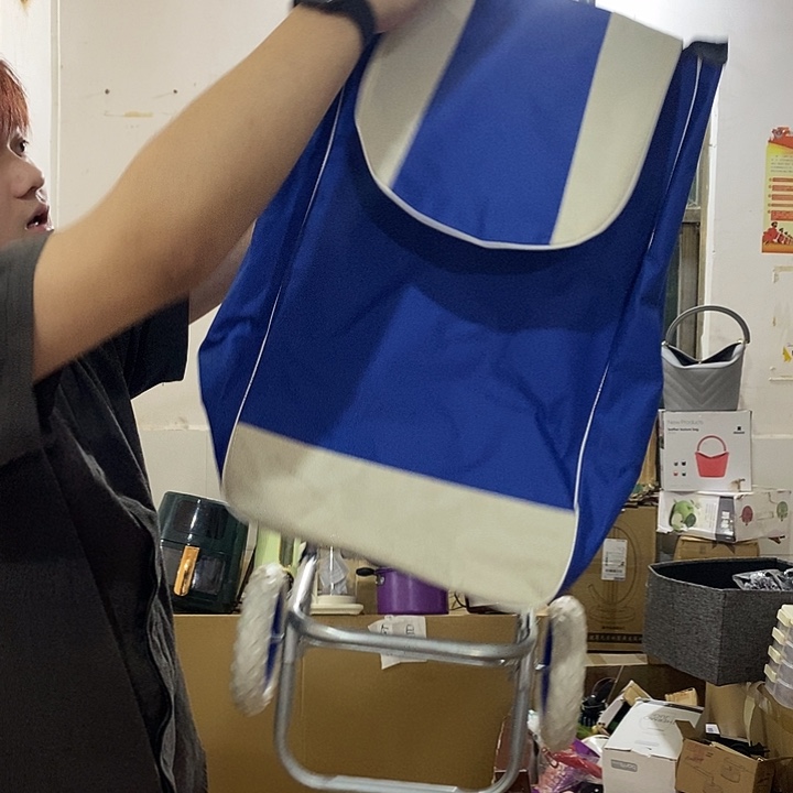 开播福利买菜车带轮子