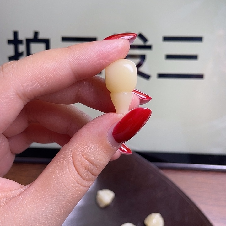 驼骨手串/手链0200