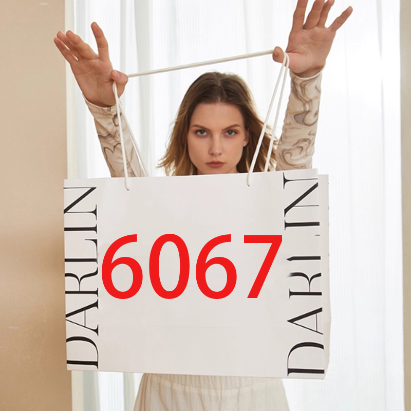 6067 单肩斜挎女包