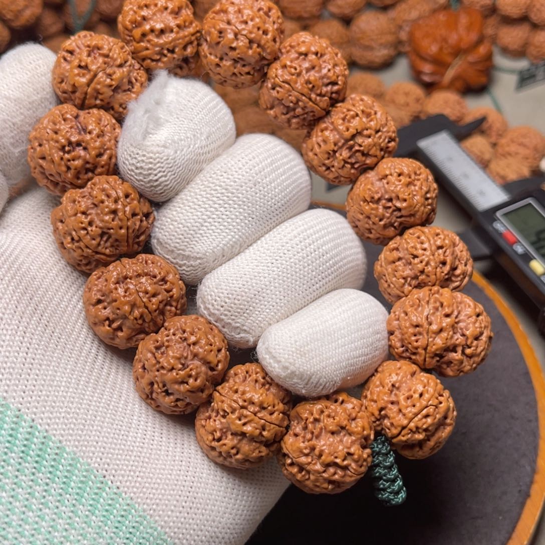 手串金刚菩提古龙纽扣蜂王头货23.5左右