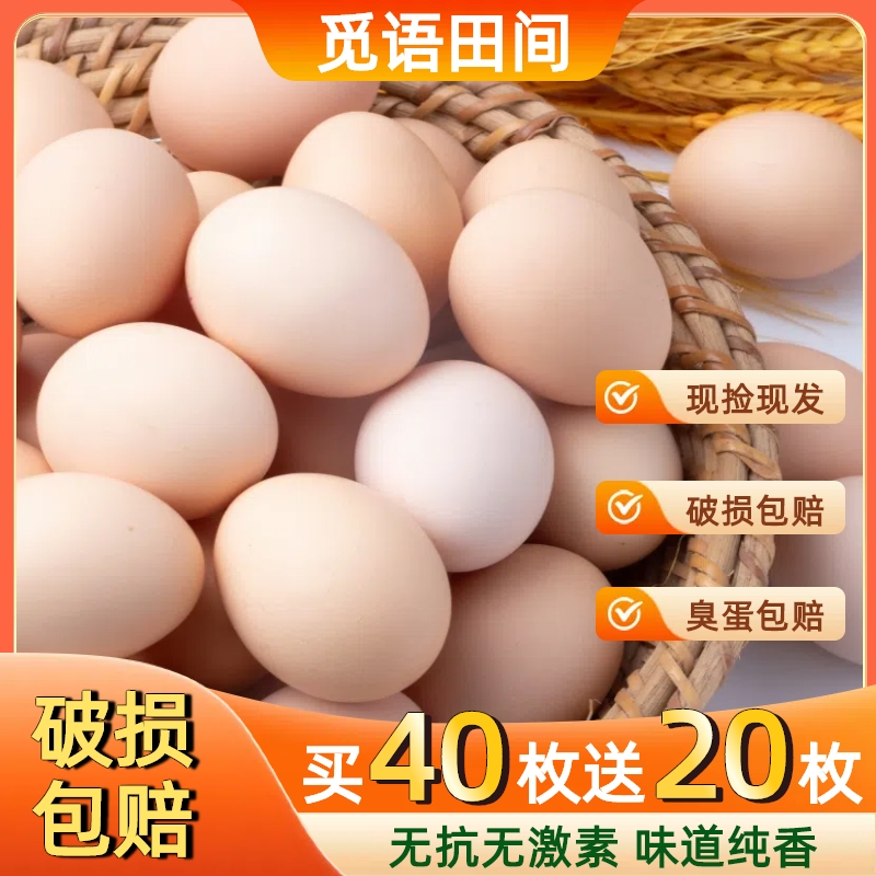 【买40枚送20枚】农家散养土鸡蛋新鲜草鸡蛋 每日甄选45±5克/枚 