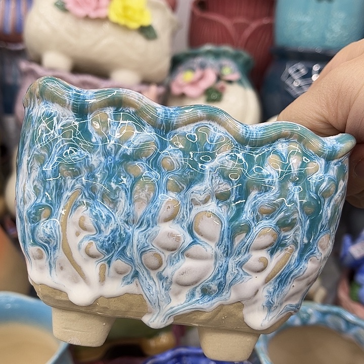 多肉植物陶瓷花盆