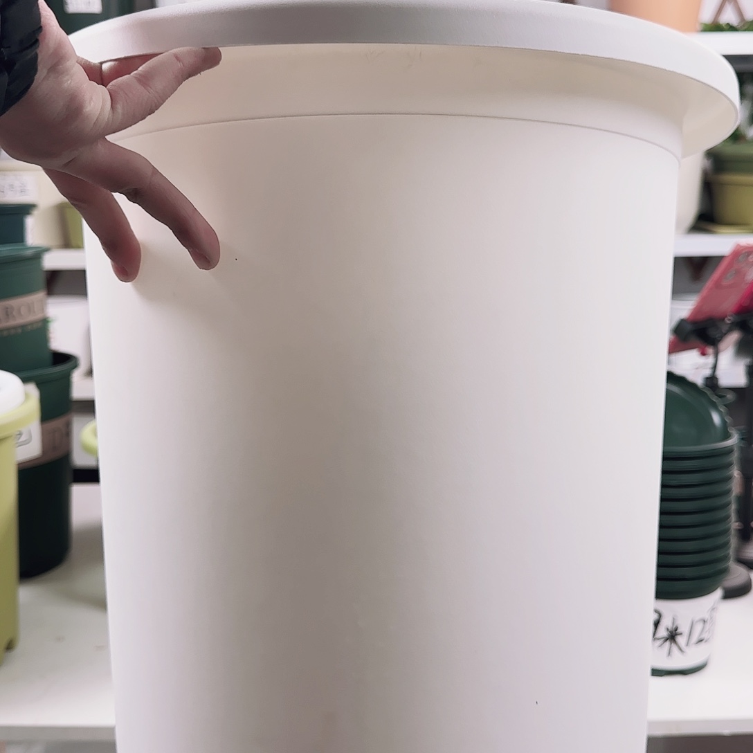 四季7号纯白5个带拖