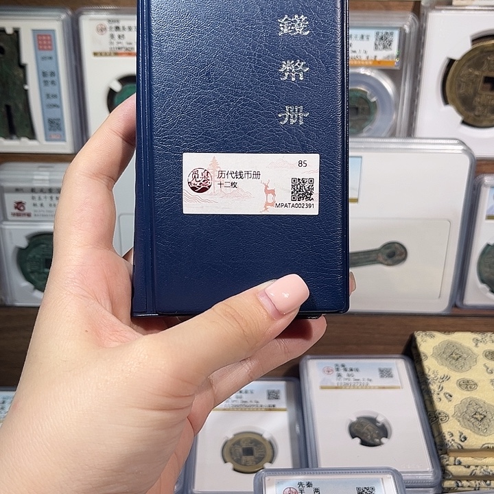 铜洛神 历代钱币册