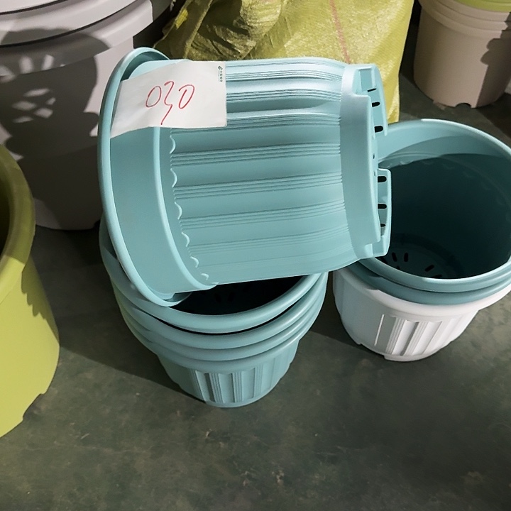 编号是030号的030号的