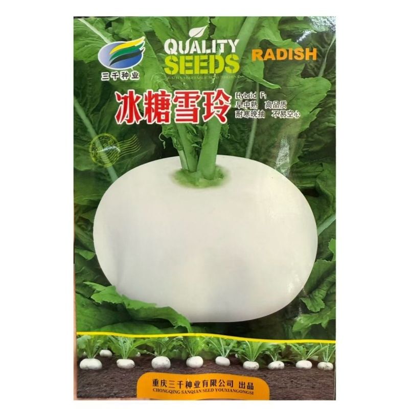冰糖雪玲大圆白萝卜种子耐寒晚抽秋季高产抗病清甜质嫩脆蔬菜种籽
