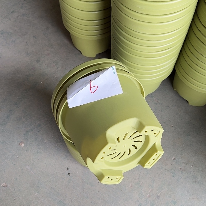 编号是6号的6号的