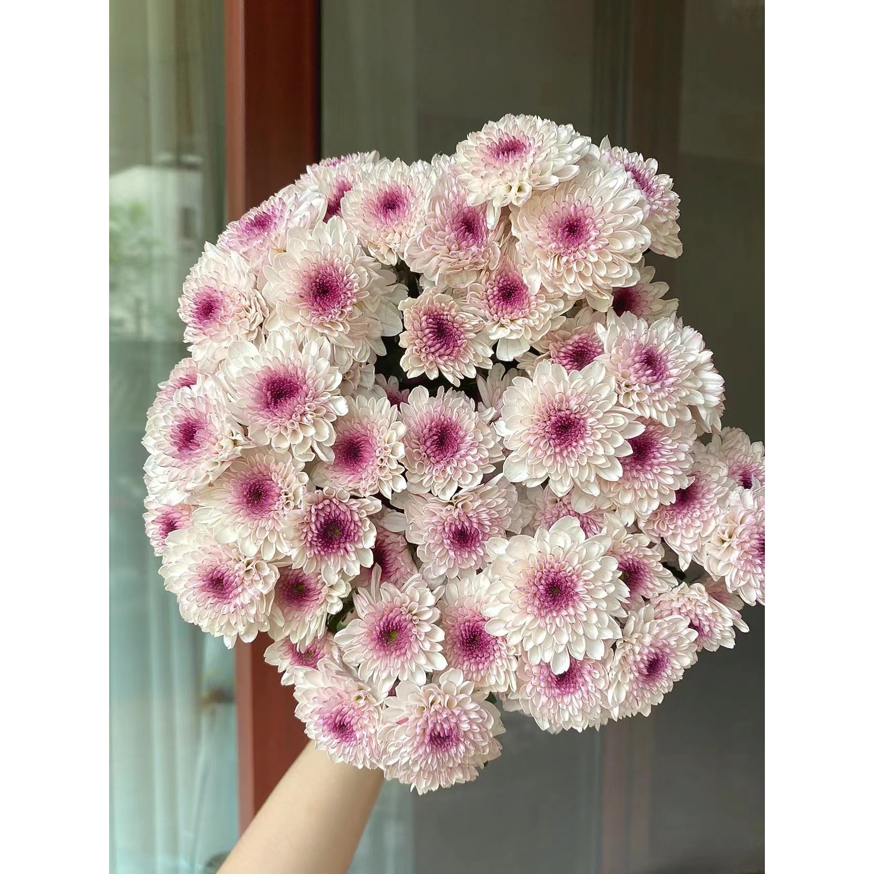 73 马蒂斯小菊5支+熊猫眼小菊5支+科隆香水小菊5支