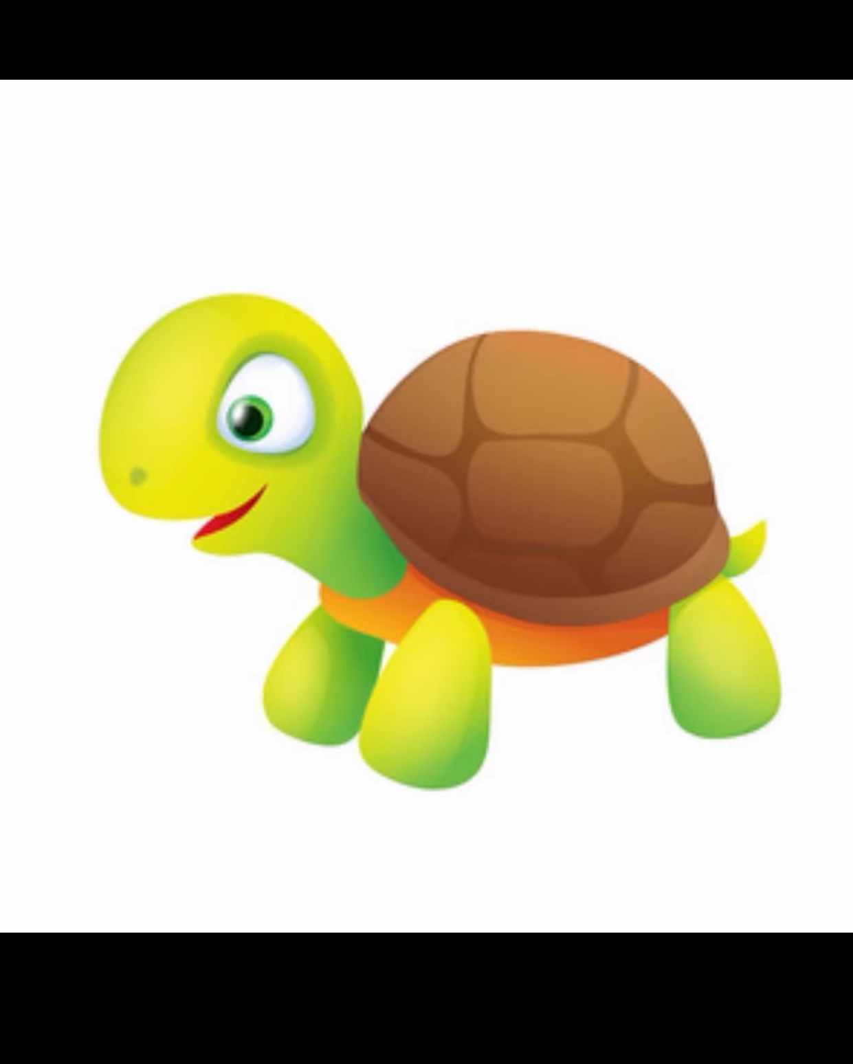 【直播选龟】直播选龟链接