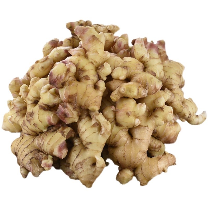 兴国九山生姜5斤产地直发