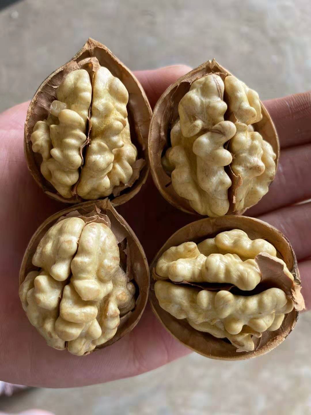 新疆185纸皮核桃（2斤装）