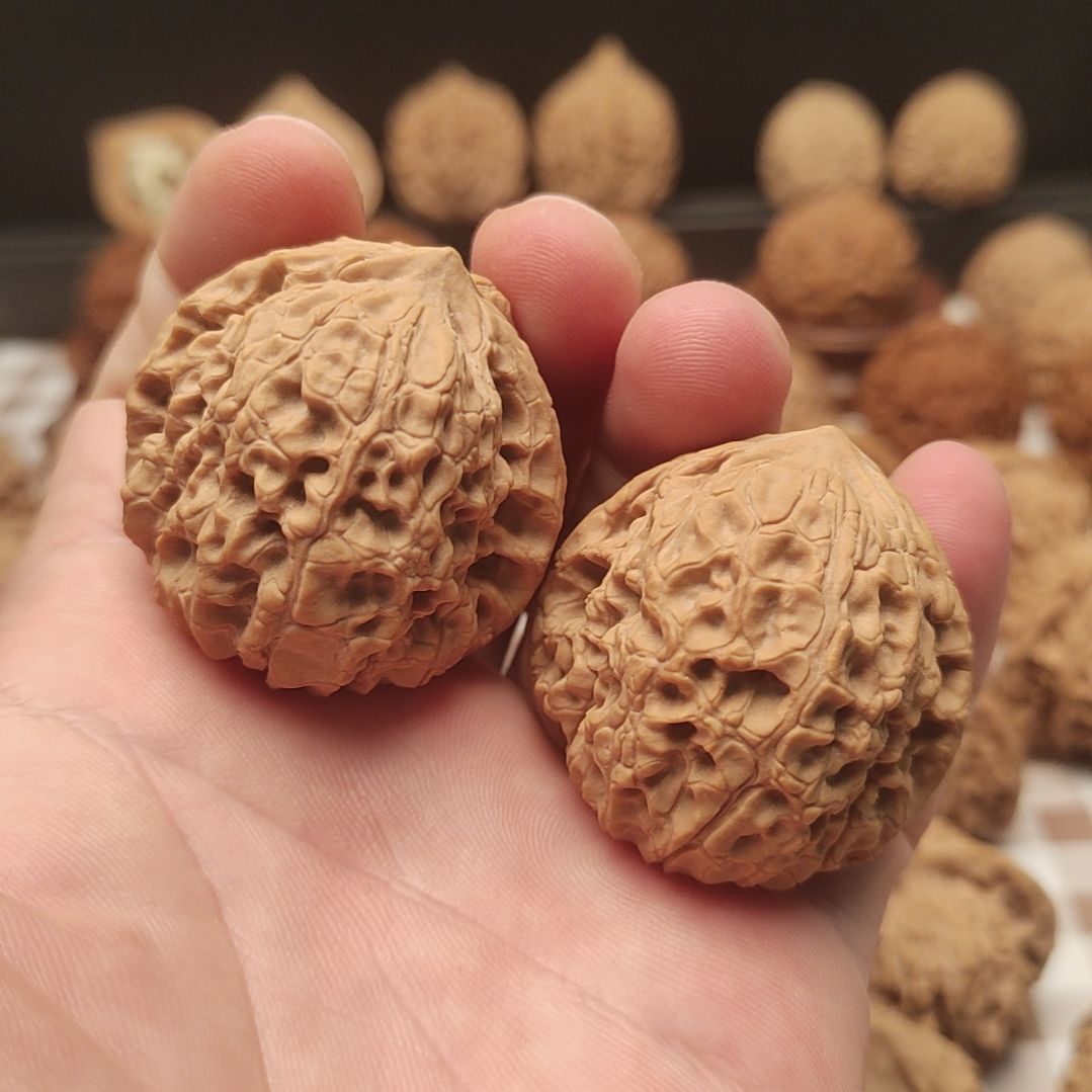 大叶紫檀（黑酸枝木类）蓟县山地大团圆手把件