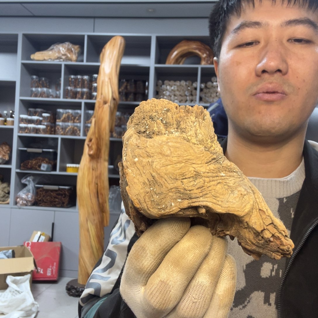 木太行崖柏毛料坨坨