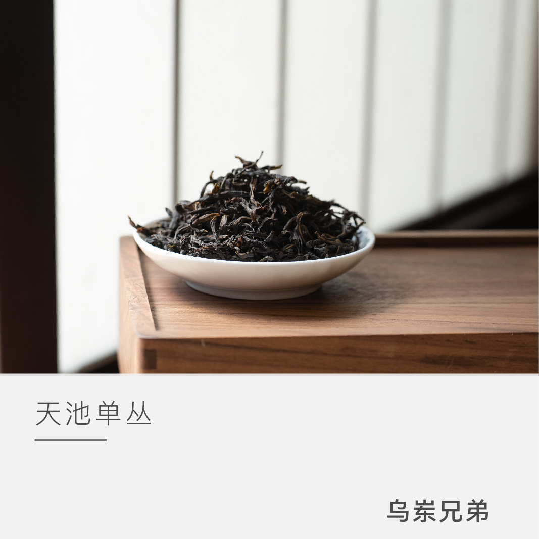 【乌岽兄弟】天池凤凰单丛 茶叶乌龙茶 云人访