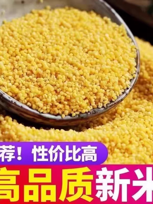 【新疆包邮】现磨含硒带胚芽黄小米营养丰富粘糯香醇熬粥佳品