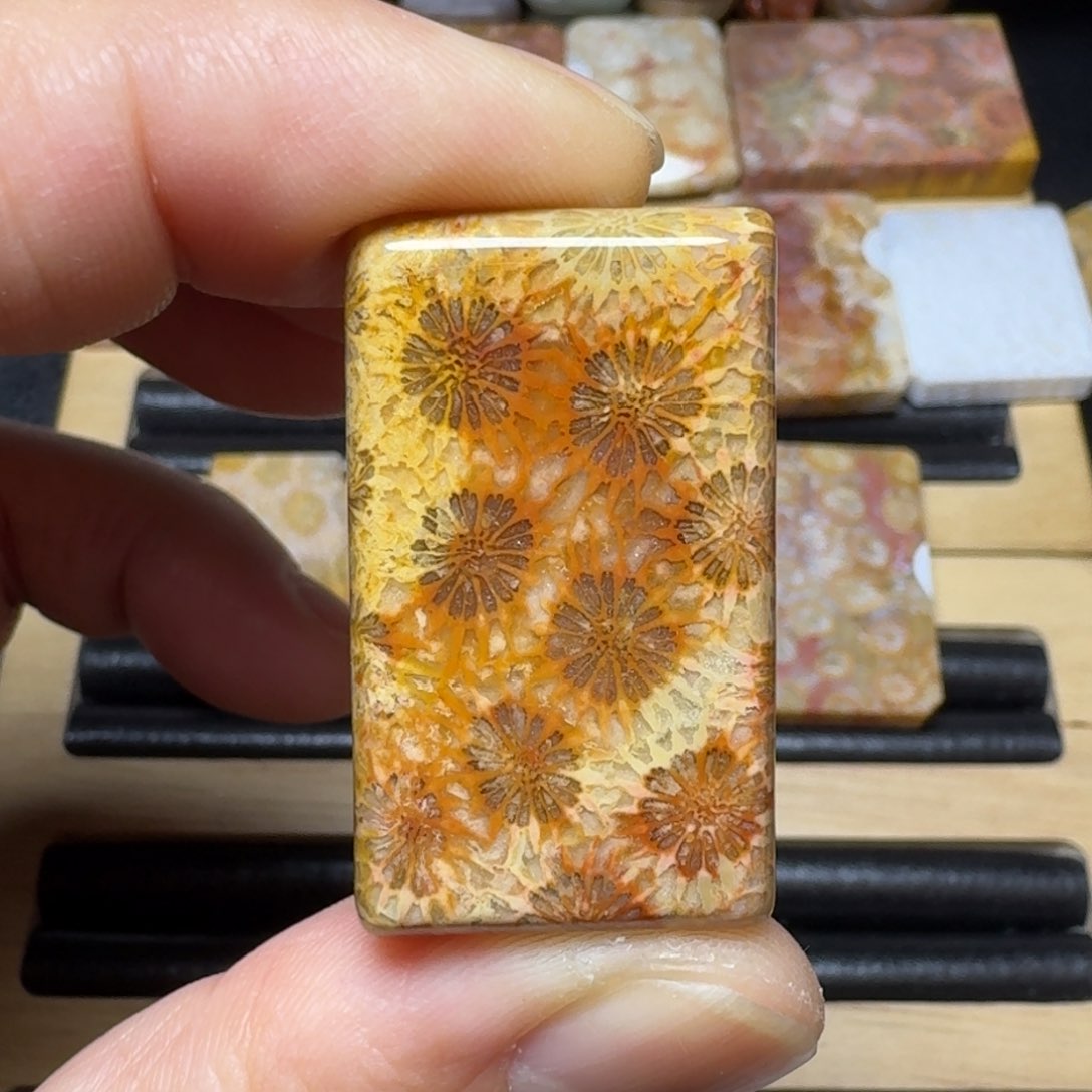 硅化玉纯天然色有机玉石未镶嵌